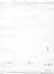 Historisches Foto (Rückseite) von Bullariscus patruliusi (Robins et al., 2013) (NHMW-AFW-GEO-BACHMAYER-FOTO-1990-0041-1603)